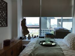 76 Shenton (D2), Apartment #171676432